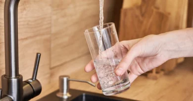 ingiltere musluk suyu ve kireç önleyici sürahi