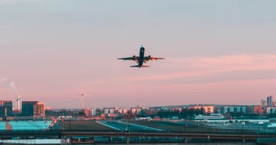 ingiltere türkiye uçak bileti ve pasaport